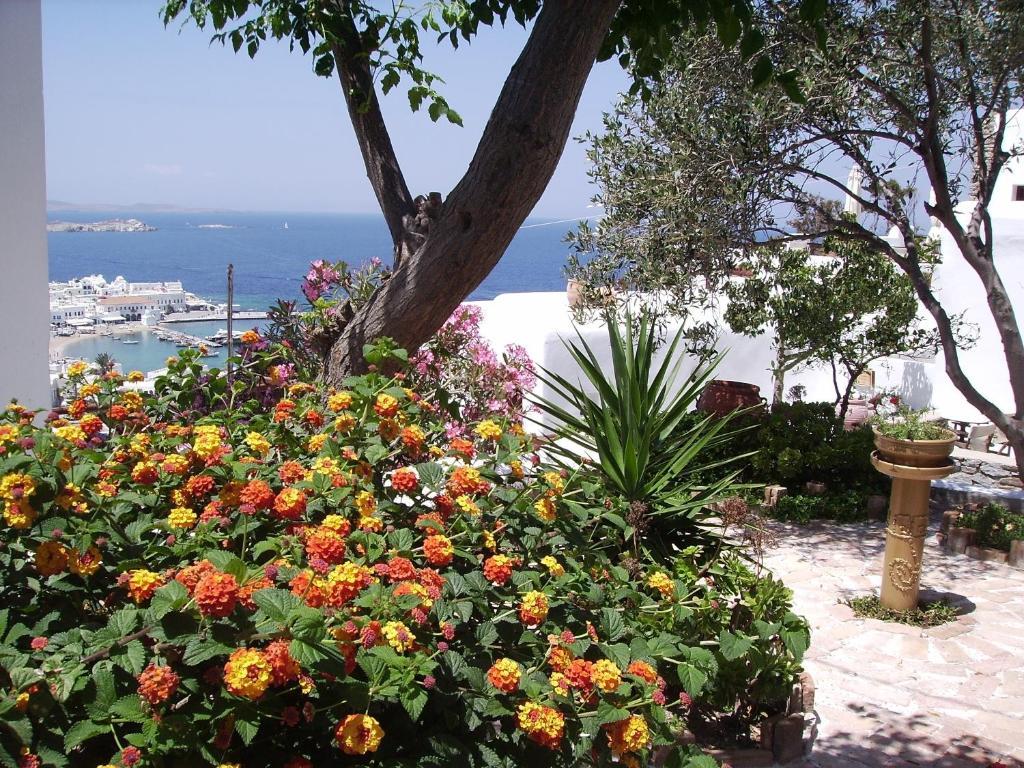 La Veranda Of Mykonos Traditional Guesthouse Mykonos Town Eksteriør billede